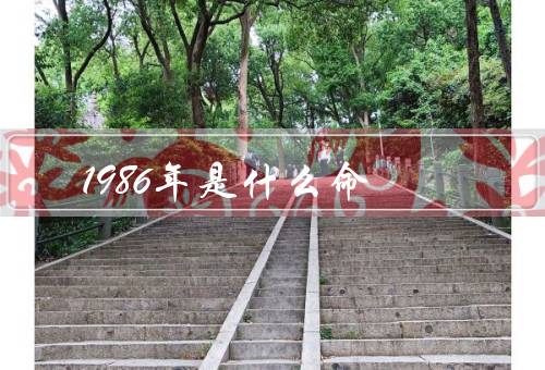 1986年是什么命，历史背景／社会变革／个人命运