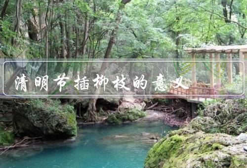 清明节插柳枝的意义，起源／意义／方式和习俗