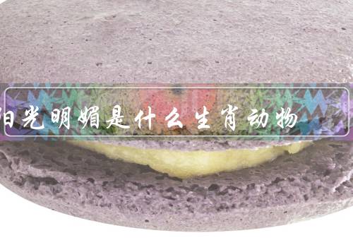 阳光明媚是什么生肖动物，特点／事业和财运／爱情和家庭