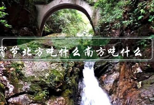 元宵节北方吃什么南方吃什么（人吃元宵和饺子／南方人吃汤圆和粽子）