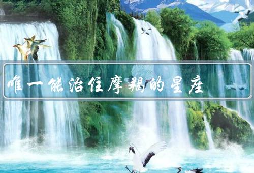 唯一能治住摩羯的星座（温暖和体贴、情感理解力、家庭观念）