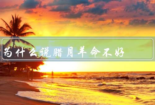 为什么说腊月羊命不好（羊的象征意义／历史文化背景／民俗传说）