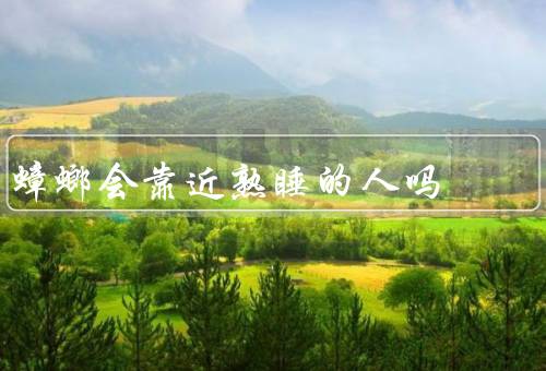 蟑螂会靠近熟睡的人吗（蟑螂的行为习性、关于蟑螂靠近熟睡人的说法）