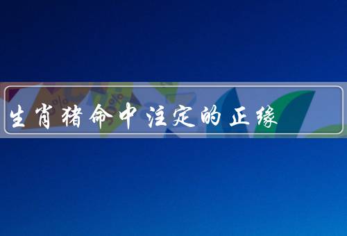 生肖猪命中注定的正缘，命中注定的相伴／心心相印的默契