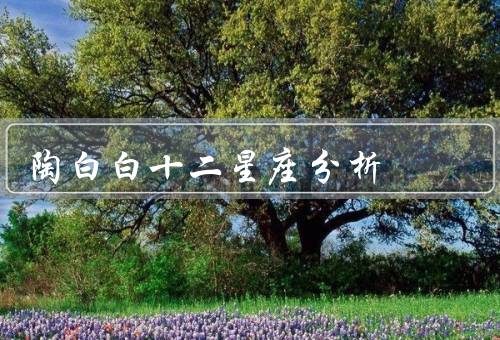 陶白白十二星座分析，白羊座、金牛座、双子座