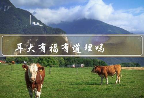 耳大有福有道理吗，福、道理、结论