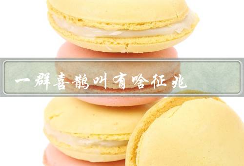 一群喜鹊叫有啥征兆